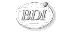 bdi v3